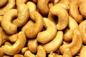 Cashew -13 Cashew -13